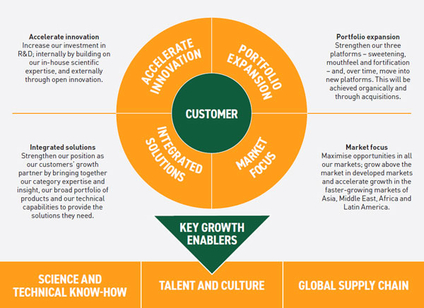 Strategic Growth Framework infographic 