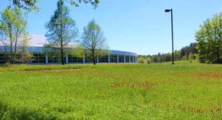 Clover field planted at McIntosh site