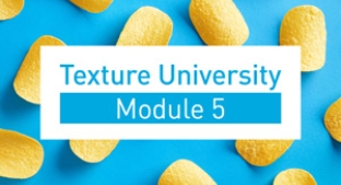 Texture University module 5